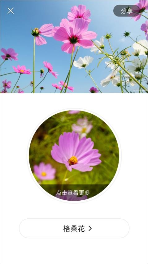 識花大師 v1.3.8 1