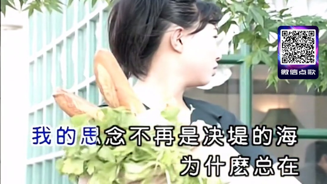 智能K歌 v2.16.58.2411111420 2