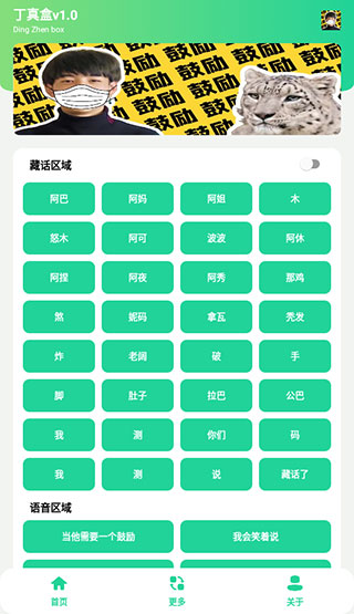 丁真盒最新版 v2.0 0