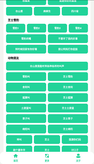 丁真盒最新版 v2.0 2