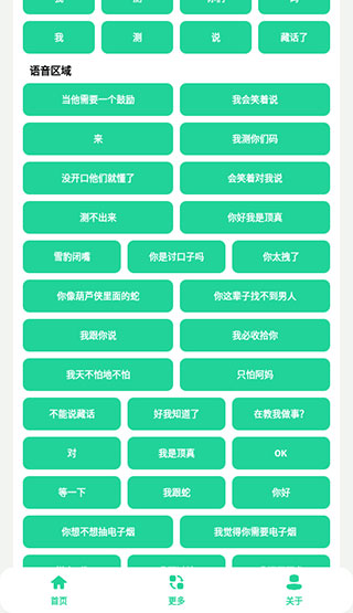 丁真盒最新版 v2.0 1