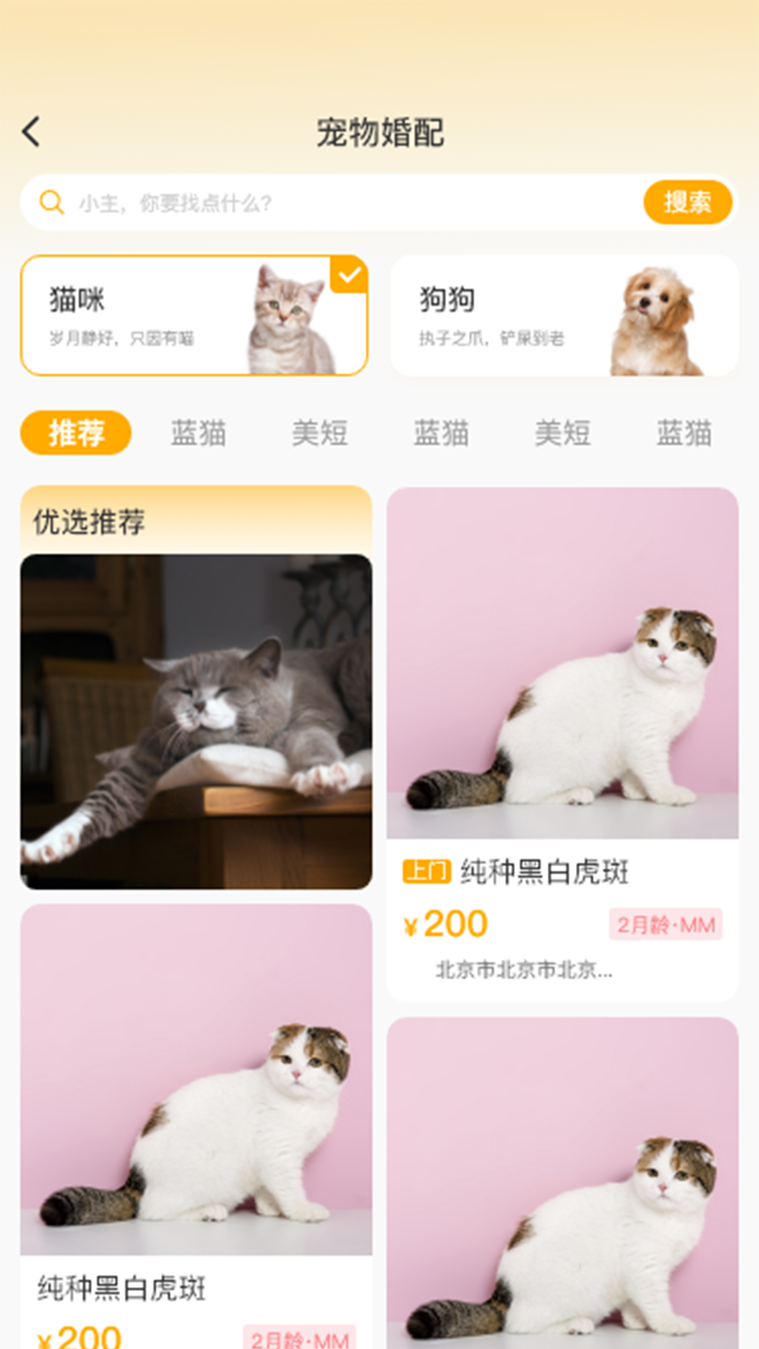 喵鑫球?qū)櫸?v2.0.5 0