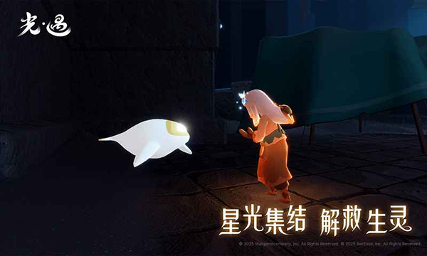 光遇正式服0