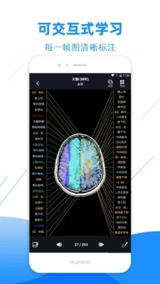 影像解剖圖譜 v4.2.0 1