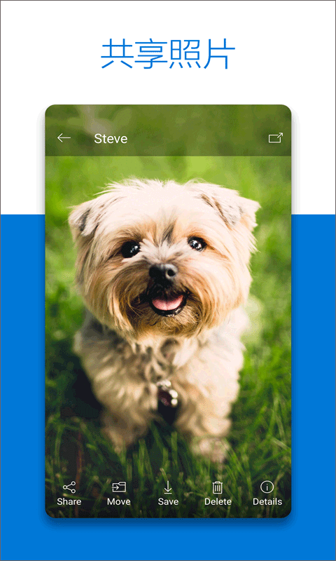 Microsoft OneDrive app3