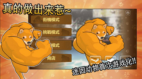 動物之斗最新版 v1.0.2 安卓版 0