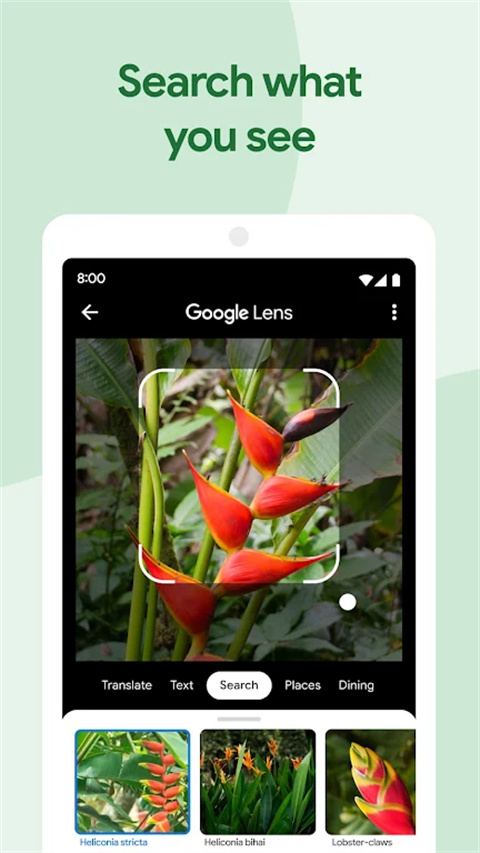 Google照片管理app v7.43.0.800596475安卓手機(jī)最新版 3