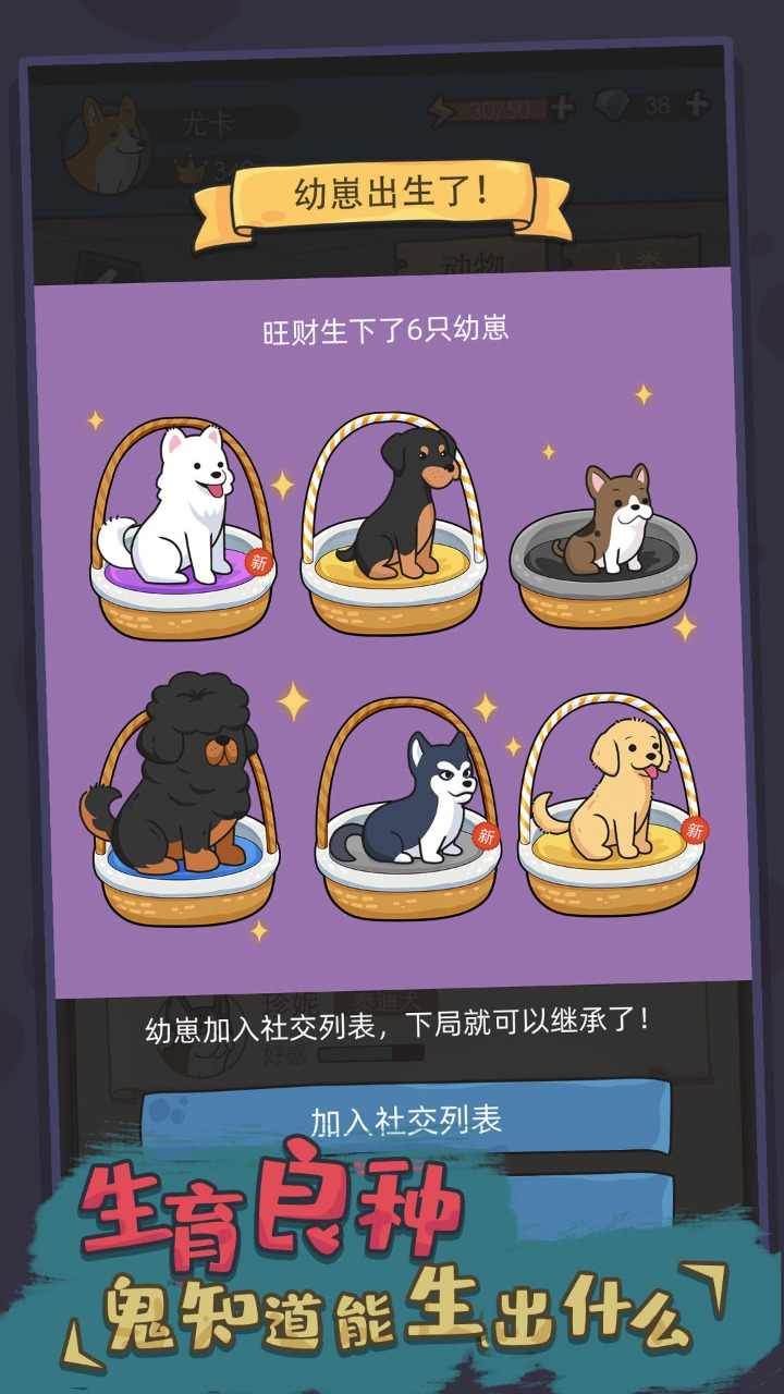 狗生模擬器最新版 v1.0.9 1
