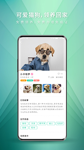 麥道寵物最新版 v2.6.0安卓版 1