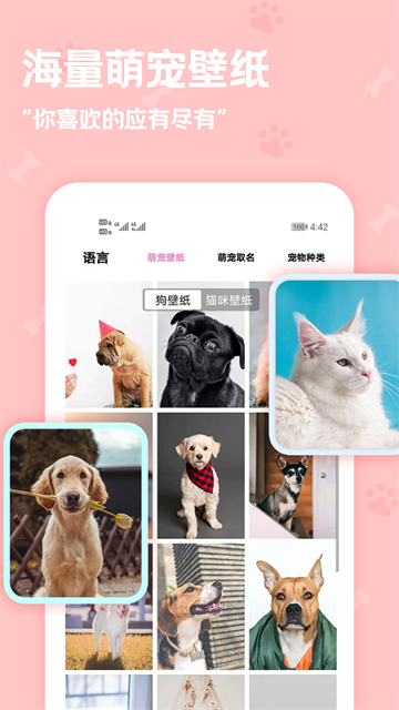 動物語言翻譯器軟件 v2.4.2 0