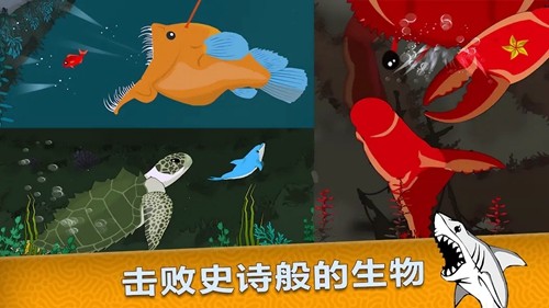皇家魚游戲 v4.4.1 3