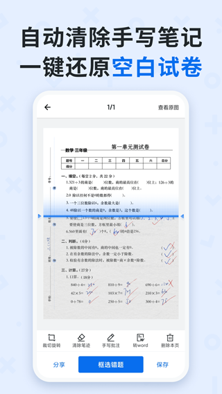 蜜蜂試卷正版3