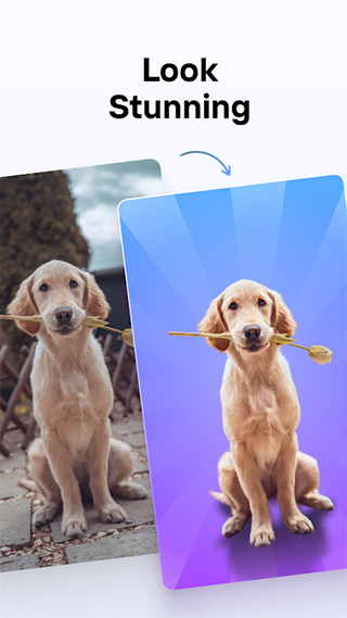 photoroom最新版3