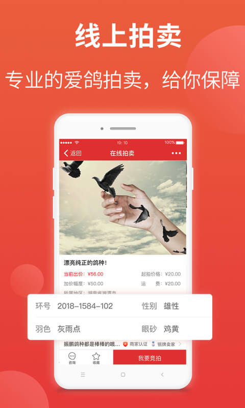 賽鴿頭條app v2.2.1.17 安卓版 1