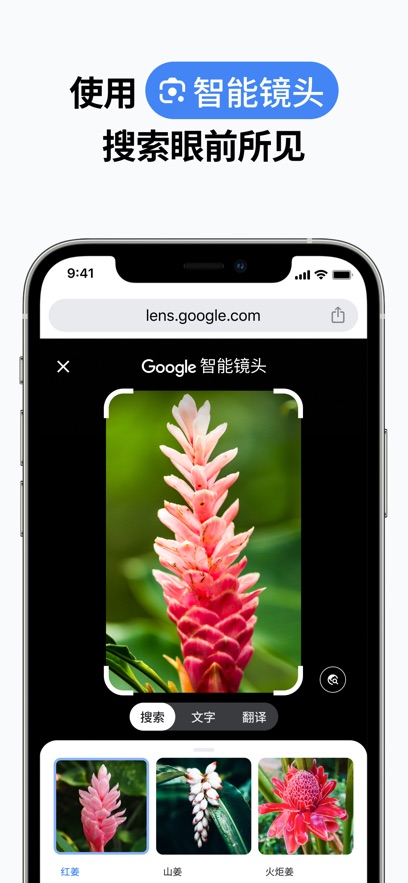 chrome瀏覽器x86版1