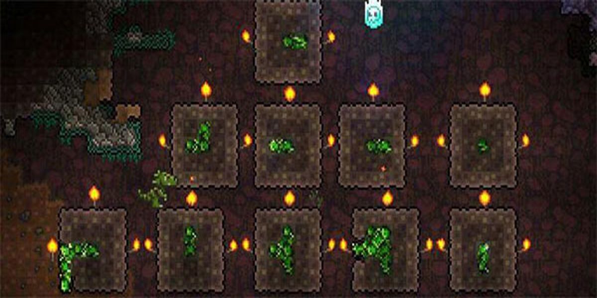 泰拉瑞亞皮皮蛙 v1.4.4.9.6 0