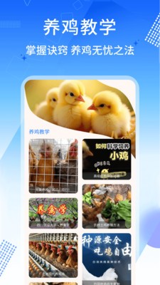 養雞寶 v1.0.4 3