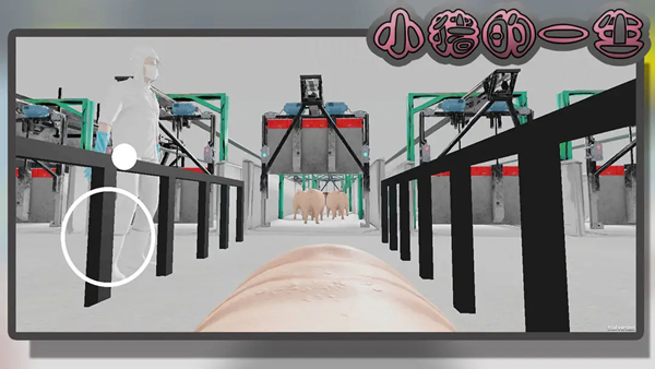 小豬的一生模擬器 v10.5.1 2