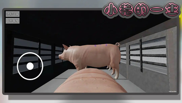 小豬的一生模擬器 v10.5.1 1