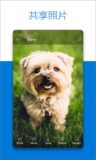 微軟onedrive手機客戶端 v7.39.1官方版 3
