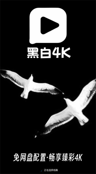 黑白4k v3.0.6 0