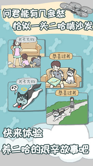 養(yǎng)只二哈不容易游戲 v2.1 1