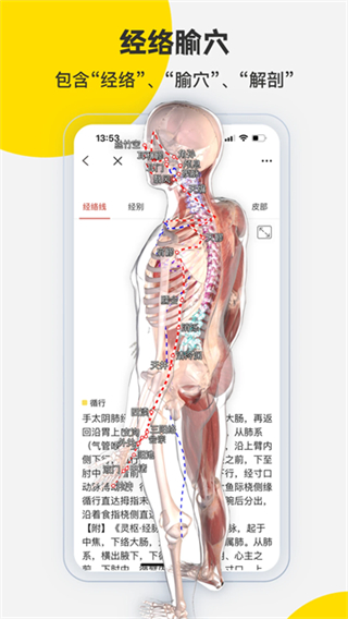 3DBody v8.8.71 1