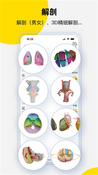 3DBody解剖app v8.8.71 3