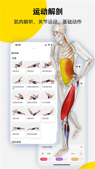 3DBody解剖app v8.8.71 1